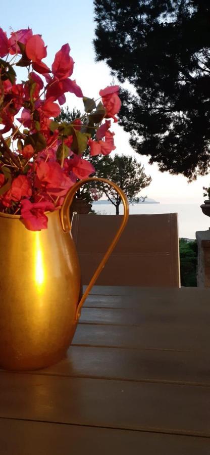 Villa Casa "Le Terrazze" à Erice Extérieur photo