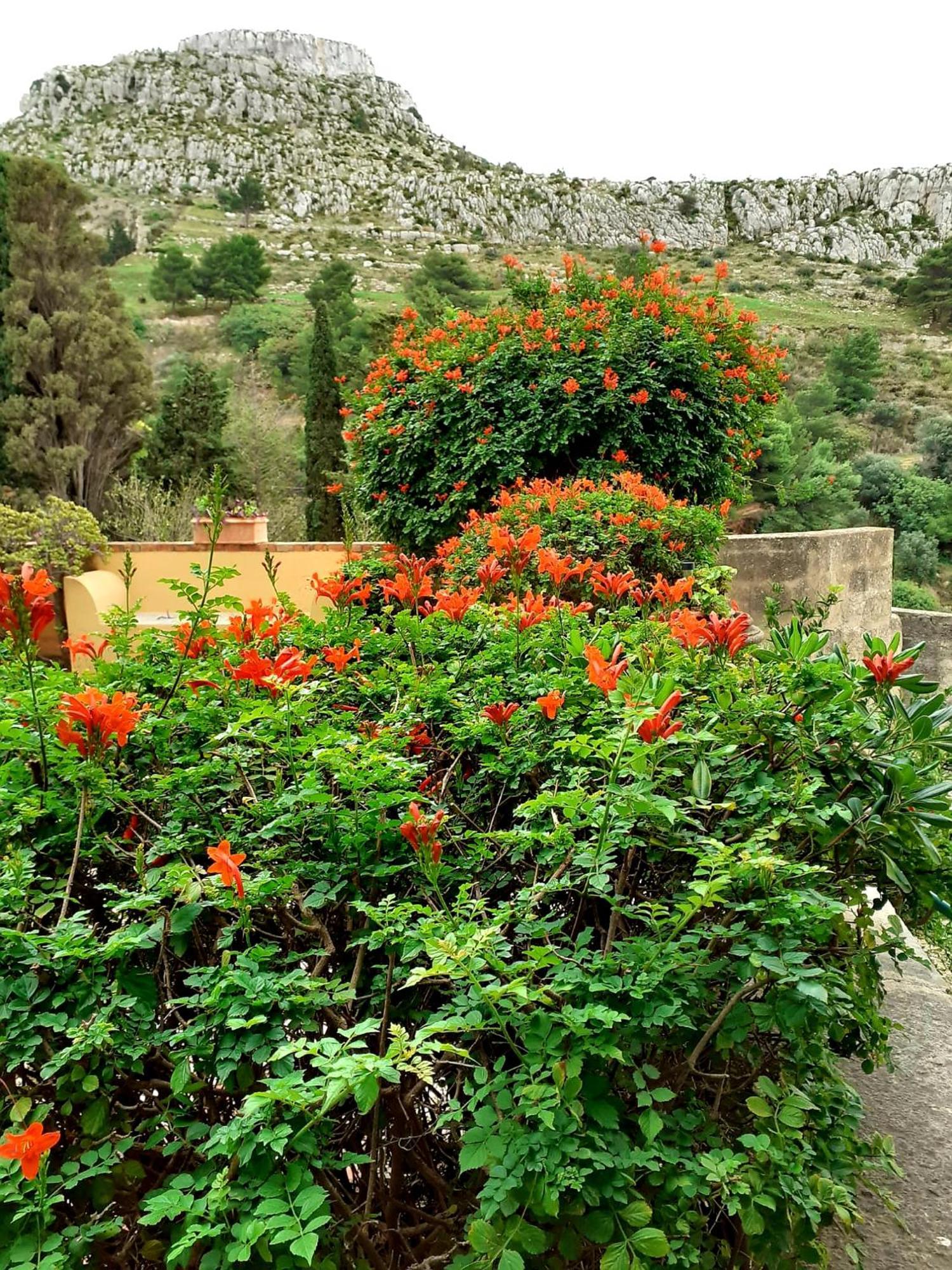 Villa Casa "Le Terrazze" à Erice Extérieur photo