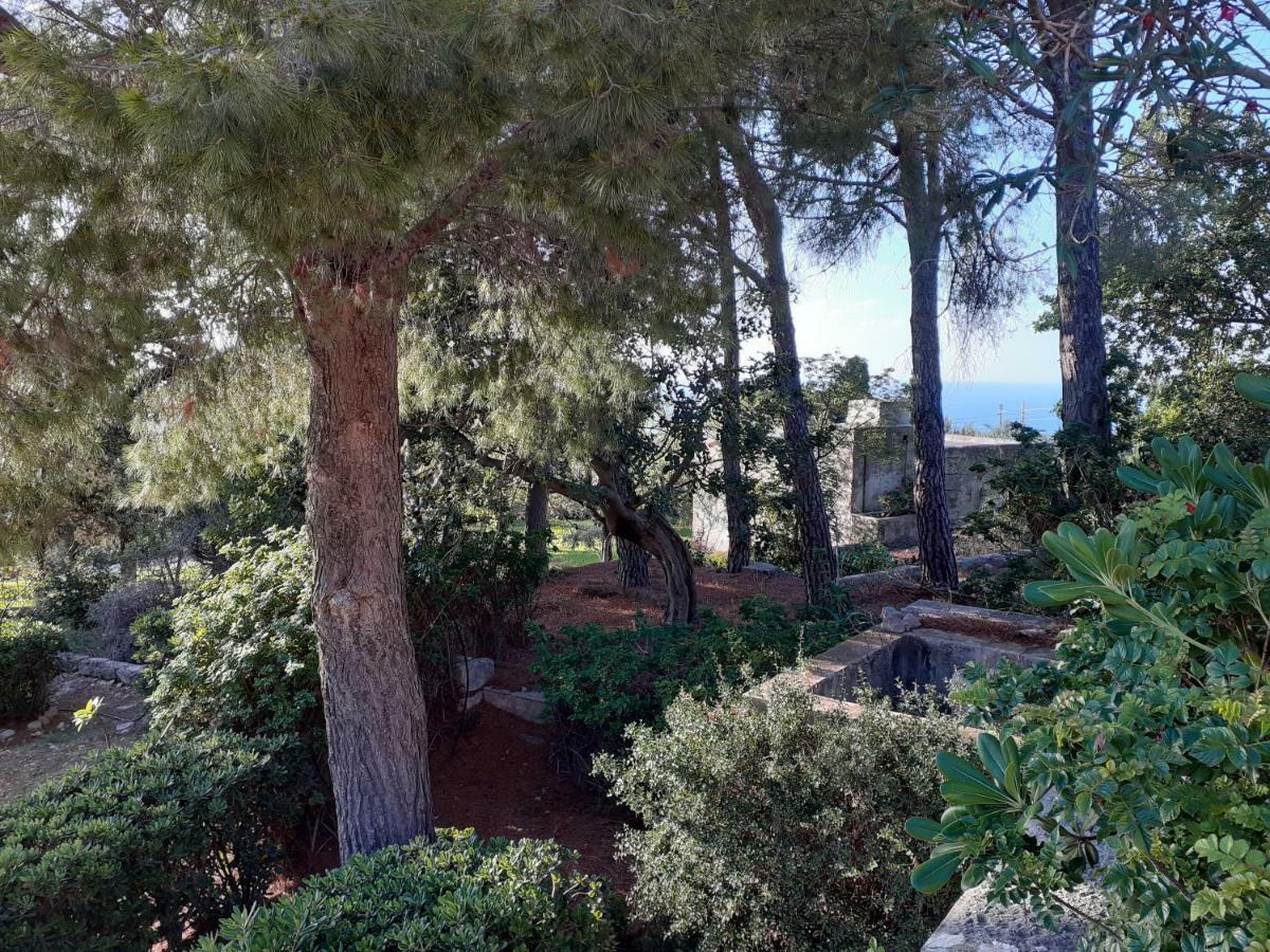 Villa Casa "Le Terrazze" à Erice Extérieur photo